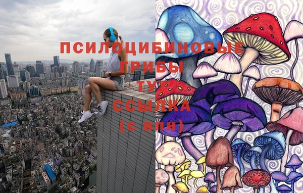 тгк Заводоуковск