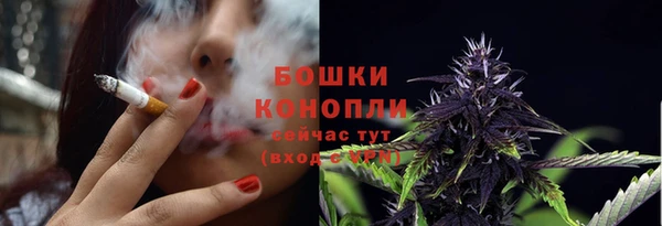 тгк Заводоуковск