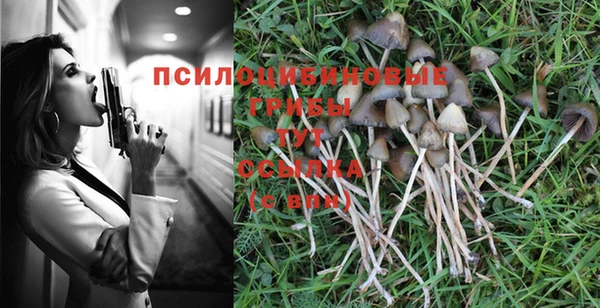 спиды Заволжск